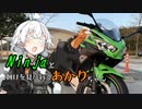 Ninjaと朝日を見に行くあかりちゃん【VOICEROID車載】