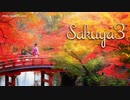 【1時間】Sakuya3【優雅でゆったりとした和風曲】