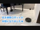 新ルンバに拭き掃除ロボットが仲間になりました★