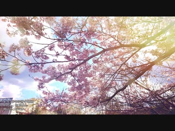 【NNIオリジナル曲】サヨナラの置き場所 【RUHIA feat.勿草】