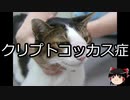 【ゆっくり朗読】ゆっくりさんと不思議な病気 その319