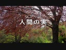 SCP-936 - 人間の実