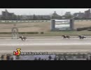 第5回中京ペガスターカップ ブンブンマル