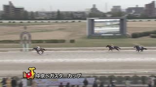 第5回中京ペガスターカップ ブンブンマル