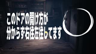 伏線あったなら謝る！誰かこれ説明して！！【リトルナイトメア２】