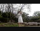 【星流】Calc. 【踊ってみた】