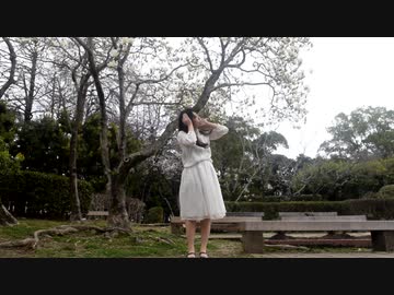 【星流】Calc. 【踊ってみた】