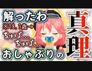 実際におしゃぶりを咥えて赤ちゃんの心理を知るさくらみこ