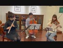 鬼滅の刃より「竈門炭治郎のうた」をフルート、ヴァイオリン、チェロで演奏してみた