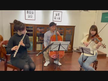 鬼滅の刃より「竈門炭治郎のうた」をフルート、ヴァイオリン、チェロで演奏してみた