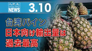 台湾パイン、日本向け輸出量は過去最高