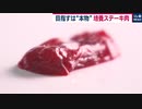 目指すは“本物” 東大生研×日清食品の培養ステーキ肉