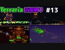 【Terraria】頂目指して近接縛り Part13【ゆっくり実況】