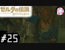 【BotW＃25】凡人が行くシナリオ中心の息吹旅