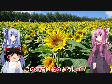 琴葉姉妹と行く釣行記録（車載編part14 7/9）