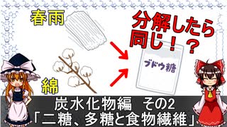 二糖、多糖と食物繊維(炭水化物編その2)【食品化学ゆっくり解説Part3】