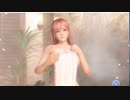 美少女を視姦するゲーム「DEAD OR ALIVE Xtreme Venus Vacation」