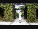 【星流】ハイドアンド・シーク【踊ってみた】