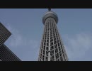 スカイツリー、花やしき、浅草寺、東京浅草放浪 総集編【旅動画】