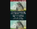 #TUTU #ブライダルハウスTUTU #沖縄 #TVCM 2013年【理想の花嫁】フェア篇・集合篇 #ピアニスト #たっくやまだ #制作音源  #作曲 #編曲 #Shorts #TikTok