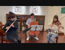 カヴァレリア・ルスティカーナより間奏曲を演奏してみた