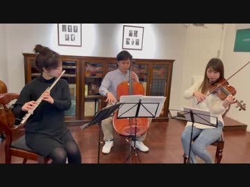 カヴァレリア・ルスティカーナより間奏曲を演奏してみた