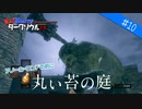 【ダークソウル リマスタード実況】#10 丸い苔の庭【DARK SOULS REMASTERED】【協力プレイ】