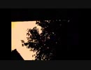 celluloid/baker【歌ってみた/特になし】