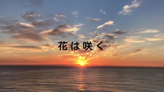 【箏×ピアノで弾いてみた】花は咲く【楓夏】