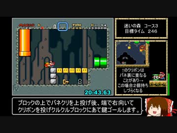 【世界２位】マリオワールド_チビ縛りスターロードなしRTA_35:45_後編