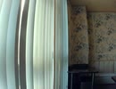 Love／Lana Del Rey 【歌ってみた】