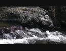 【東日本大震災・追悼】Bachの“BWV 1068 Air”、 久石 譲さんの“はるかなる地へ…”と永六輔さんと中村八大さんによる“上を向いて歩こう”をONEに歌わせてみました。