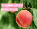 【スパイスを知ろう！】桃を知ろう！【part101】