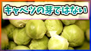 【ゆっくり解説】芽キャベツはキャベツの芽ではない【今日の豆知識】