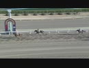 2021年3月11日大井競馬11R クラシックトライアル(3歳選抜) ワールドリング