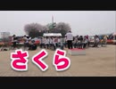 吹奏楽！！森山直太朗「さくら」！！のおがたチューリップフェア2019