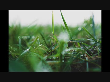 calling【フリー音源】