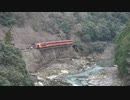 【乗ったままで】保津峡を行く嵯峨野トロッコ列車【森林浴？】
