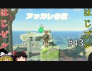 【ゆっくり実況】はじめてのゼルダはじめてのブレワイ part43【ゼルダの伝説ブレスオブザワイルド】