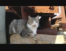 おやすみなさい