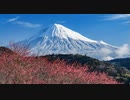 風に聞け　２１０３１１　Mist - Odonis Odonis