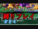 【ドラクエ5 縛りプレイ】無事一人旅になったが、地獄が見えた気がする。Part84【アルカリ性】
