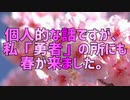 個人的な話ですが、私「勇者」の所にも春が来ました。