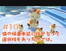 【フューリーワールド/実況#10】探し物はなんですか？見つけにくいネコですか？