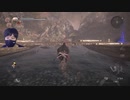 仁王2ムービー勝手にスッキプされるんだが　その2