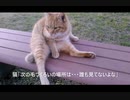 次は、どこを毛づくろいするの？？
