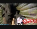 バイソンに突っ込まれるカルロ・ピノ【theHunter:CotW】