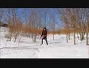 POWER QUEST-temple of fire 弾いてみた　おかまが