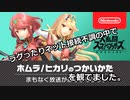 【スマブラSP】ホムラ/ヒカリのつかいかたを2人で観ていたらラグったりネット接続が切れたりしたんだが