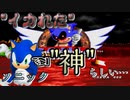 こんな"イカれた"ソニックあんの？